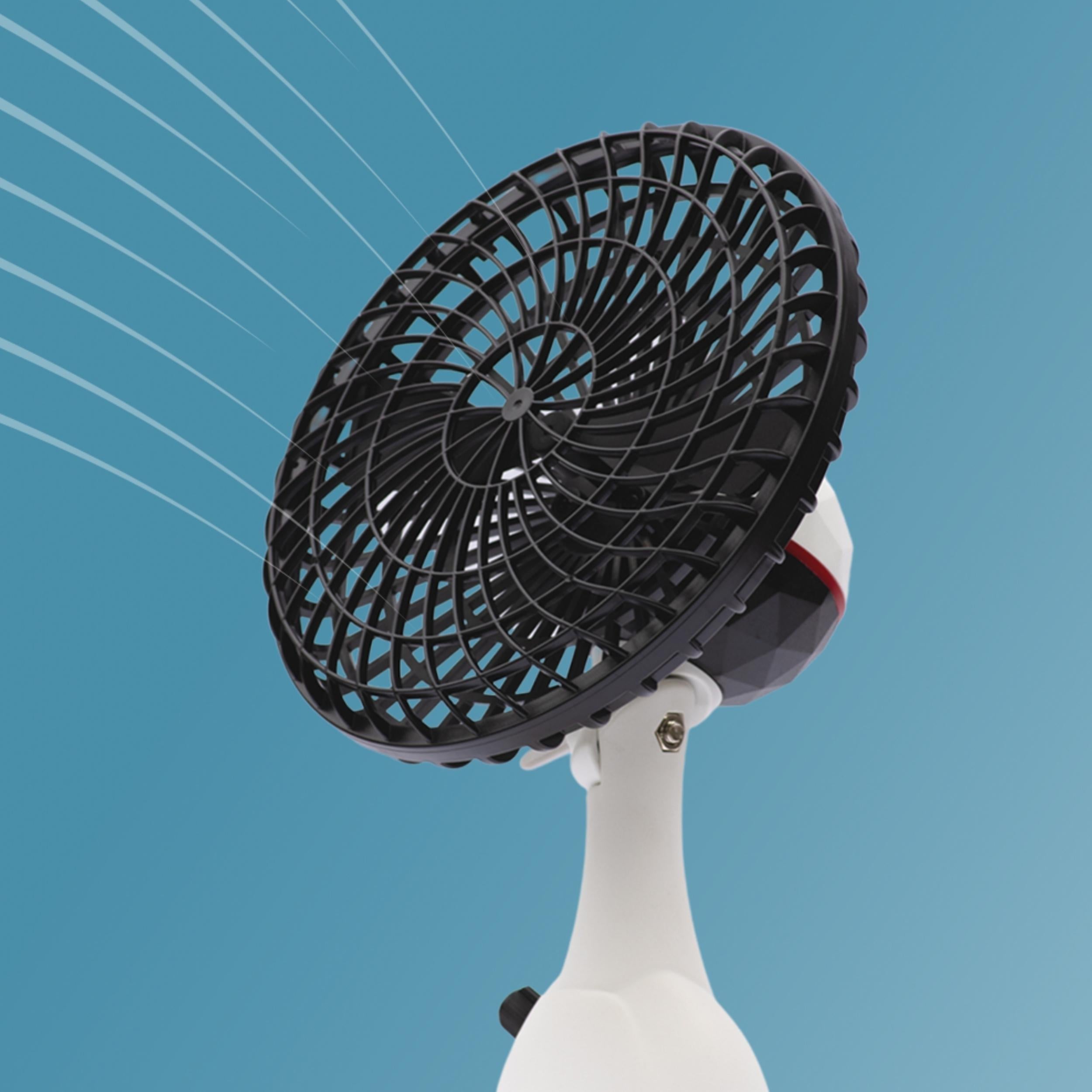 PGFV Personal GO Fan Personal Go Fan
